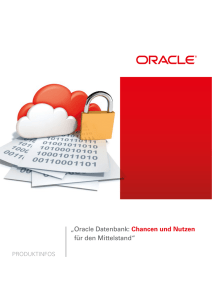 Oracle Datenbank: Chancen und Nutzen für den