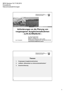 Anforderungen an die Planung von vorgezogenen