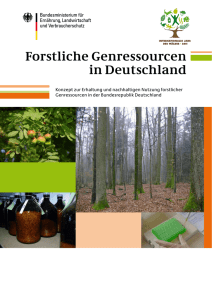 Forstliche Genressourcen in Deutschland