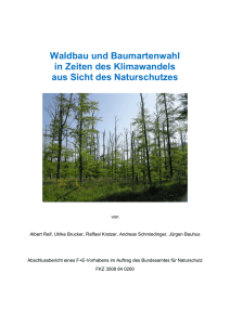 Waldbau und Baumartenwahl in Zeiten des Klimawandels aus Sicht