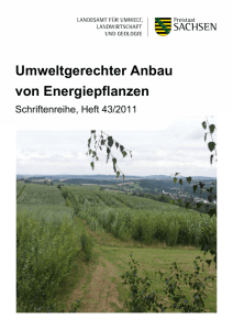 Umweltgerechter Anbau von Energiepflanzen