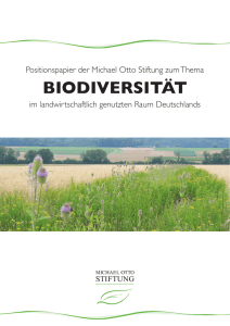 Biodiversität - bei der Michael Otto Stiftung für Umweltschutz!