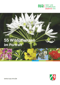 55 Wildpflanzen - Natur- und Umweltschutzakademie NRW