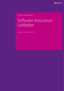 Software Assurance Leitfaden