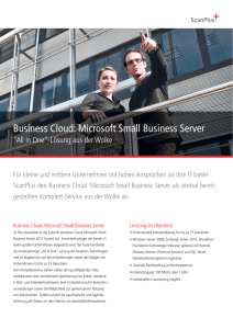 Business Cloud: Microsoft Small Business Server