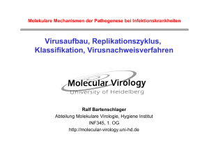 Virusaufbau, Replikationszyklus, Klassifikation