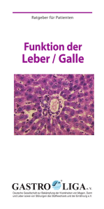 Leber / Galle - Gastro