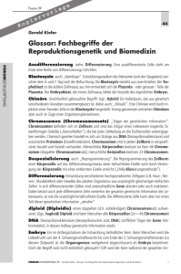 Glossar Reproduktionsmedizin und Biomedizin, Kopiervorlage