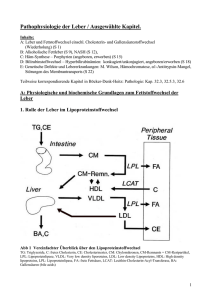 Pathophysiologie der Leber / Ausgewählte Kapitel