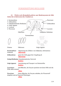 Vorbereitung Biologie - MTA-R.de