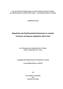 Regulation der Erythropoietin-Expression in renalen Tumoren und