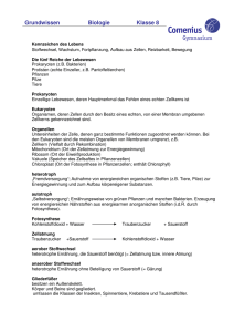 pdf 033 kB - Comenius-Gymnasium Deggendorf