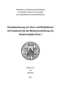 Charakterisierung von Virus- und Wirtsfaktoren mit Funktionen bei