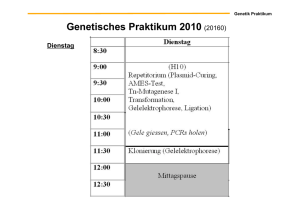 Genetisches Praktikum 2010 (20160)