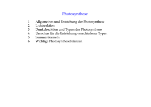 (Photosynthese-Physiologie und Typen).