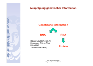 Ausprägung genetischer Information Genetische Information RNA
