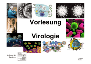 Vorlesung Virologie
