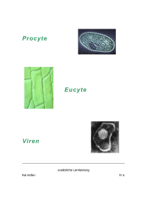 Procyte Eucyte Viren
