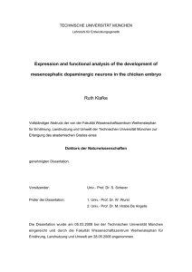 Expression and functional analysis of the development of
