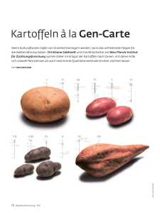 Kartoffeln à la Gen-Carte - Max-Planck