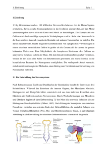 1. Einleitung Seite 1 1.Einleitung 1,5 kg Gehirnmasse und ca. 100