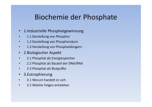 Biochemie der Phosphate (Plinke - Runde