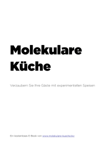 E-Book - Molekulare Küche