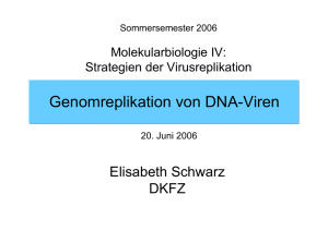 Genomreplikation von DNA