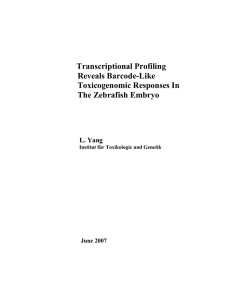 Transcriptional Profiling