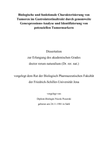 Biologische und funktionale Charakterisierung von Tumoren im