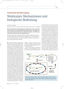 Molekulare Mechanismen und biologische Bedeutung