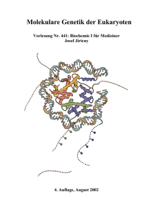 Molekulare Genetik der Eukaryoten