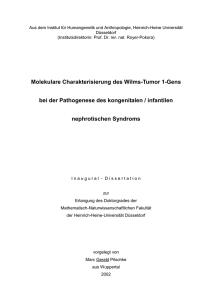 Molekulare Charakterisierung des Wilms-Tumor 1-Gens