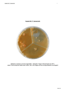 Kapitel 08.17: Gentechnik Bakterien wachsen auf