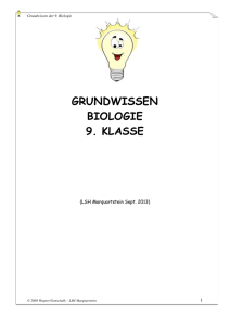 Grundwissen (pdf 221.01 KB)