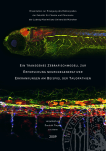 Ein transgenes Zebrafischmodell zur Erforschung