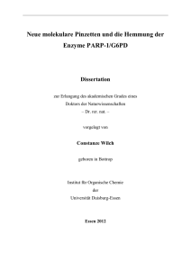 Neue molekulare Pinzetten und die Hemmung der Enzyme PARP