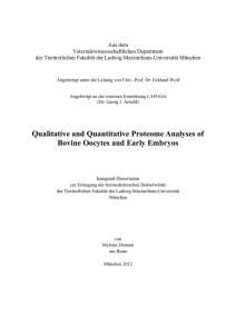 Qualitative and Quantitative Proteome Analyses of Bovine Oocytes