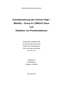 (HMGA1) Gens und Detektion von Punktmutationen