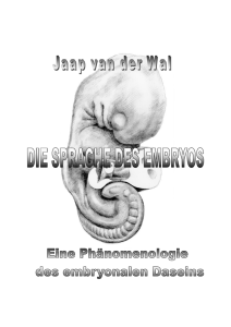 Die Sprache des Embryos 2005 DE Artikel