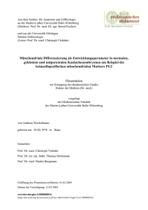 Mitochondriale Differenzierung als Entwicklungsparameter in