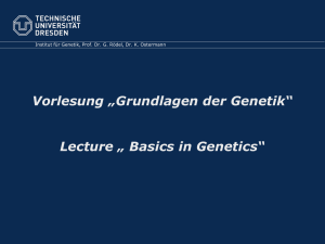 Vorlesung „Grundlagen der Genetik“