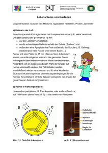 Lebensräume von Bakterien - Wissenschaft in die Schulen