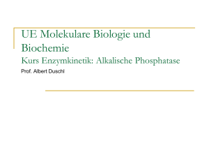 UE Molekulare Biologie und Biochemie