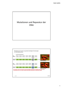 Mutationen und Reparatur der DNA