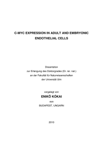 c-myc expression in adult and embryonic endothelial cells enikö kókai