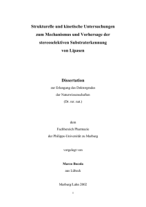 Strukturelle und kinetische Untersuchungen zum Mechanismus und