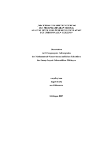 induktion und differenzierung der proepikardialen serosa: analyse