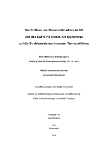 Der Einfluss des Stammzellmarkers ALDH und des EGFR