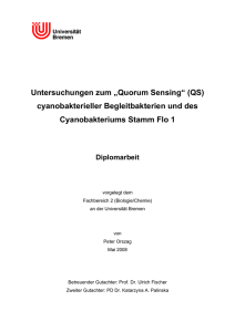 Quorum Sensing - UFT